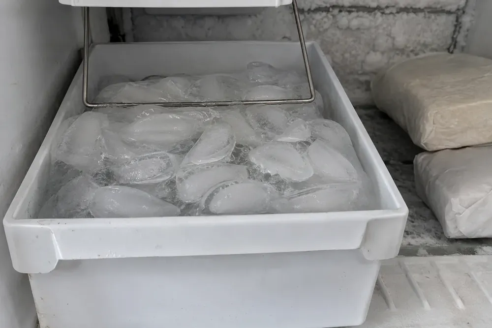 Ice bin of fused crescent ice cubes under the ice maker's wire arm, frost on the freezer wall